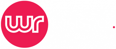 log-opt