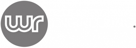 eng-opt